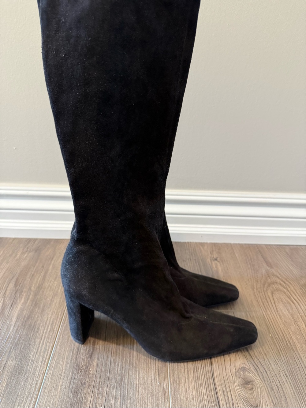 Robert Clergerie Tall Suede Vintage Boots Size 9